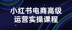 小红书电商高级运营实操课程-副业吧