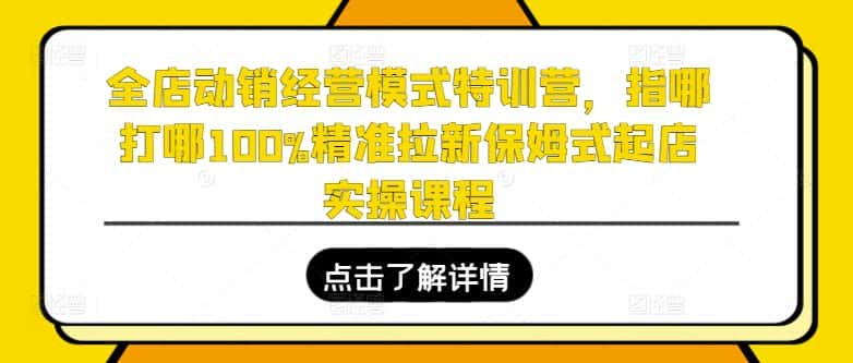 全店动销经营模式特训营，指哪打哪100%精准拉新保姆式起店实操课程-优优云创