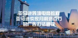 （11453期）亚马逊跨境电商教程：亚马逊卖家月利润百万的广告打法秘诀-优优云创