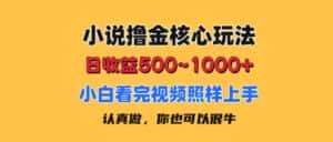 （11461期）小说撸金核心玩法，日收益500-1000+，小白看完照样上手，0成本有手就行-优优云创