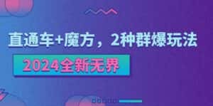 2024全新无界：直通车+魔方，2种群爆玩法-优优云创