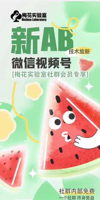 梅花实验室2024年AB技术视频号AB合成破解版-优优云创