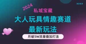 （11541期）私域宝藏：大人玩具情趣赛道合规新玩法，零投入，私域超高流量成单率高-优优云创