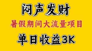 (11558期)闷声发财,假期大流量项目,单日收益3千+ ,拿出执行力,两个月翻身-优优云创
