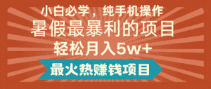 2024暑假最赚钱的项目，简单无脑操作，每单利润最少500+，轻松月入5万+-优优云创