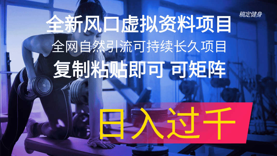 (11587期)全新风口虚拟资料项目 全网自然引流可持续长久项目 复制粘贴即可可矩阵…-副业吧