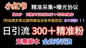 小红薯精准采集＋无限曝光＋真实笔记跳转微信，永不屏蔽（日引300＋精准粉）-优优云创