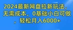 2024最新网盘拉新玩法，无需成本，0基础小白可做，轻松月入6000+-优优云创