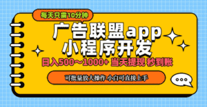 （11645期）小程序开发 广告赚钱 日入500~1000+ 小白轻松上手！-优优云创