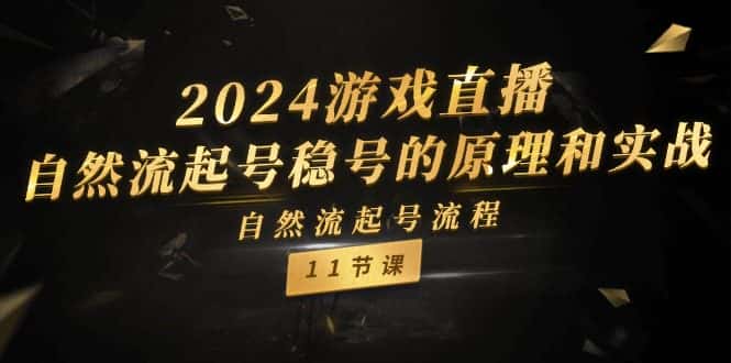 （11653期）2024游戏直播-自然流起号稳号的原理和实战，自然流起号流程（11节）-优优云创