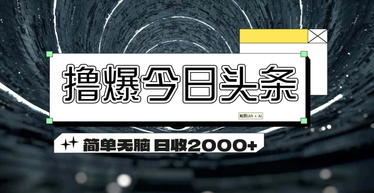 （11665期）撸爆今日头条 简单无脑操作 日收2000+-优优云创