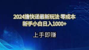 （11680期）2024撸快递最新玩法零成本新手小白日入1000+-优优云创