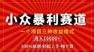 （11695期）视频号【中老年粉深信不疑】小众赛道 100%原创 手把手教学 新号3天收益…-优优云创