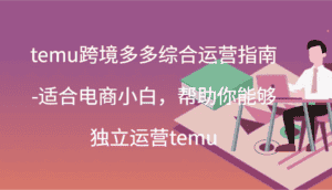 temu跨境多多综合运营指南-适合电商小白,帮助你能够独立运营temu(44节)-优优云创