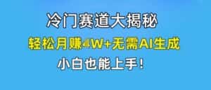 冷门赛道大揭秘，轻松月赚1W+无需AI生成，小白也能上手-副业吧