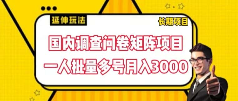国内调查问卷矩阵项目,一人批量多号月入3000-优优云创网