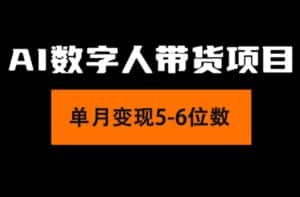 （11751期）2024年Ai数字人带货，小白就可以轻松上手，真正实现月入过万的项目-优优云创网
