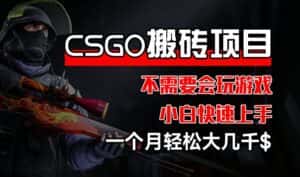 CSGO 装备搬砖项目，操作简单，不需要会玩游戏，小白也能快速上手，一个月轻松大几千-优优云创