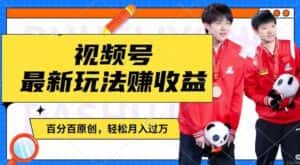 利用明星八卦视频，赚视频号分成计划收益，操作简单，还有千粉号额外变现，轻松月入过W-副业吧