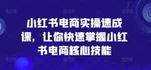 小红书电商实操速成课，让你快速掌握小红书电商核心技能-优优云创