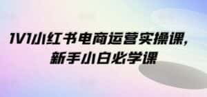 1V1小红书电商运营实操课，新手小白必学课-优优云创