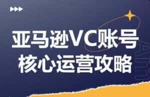 亚马逊VC账号核心玩法解析，实战经验拆解产品模块运营技巧，提升店铺GMV，有效提升运营利润-优优云创