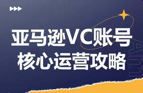 亚马逊VC账号核心玩法解析，实战经验拆解产品模块运营技巧，提升店铺GMV，有效提升运营利润-优优云创