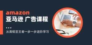 （11839期）amazon亚马逊 广告课程：从青铜至王者一步一步进阶学习（16节）-优优云创网