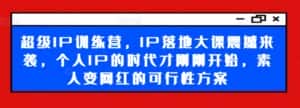 超级IP训练营，IP落地大课震撼来袭，个人IP的时代才刚刚开始，素人变网红的可行性方案-优优云创