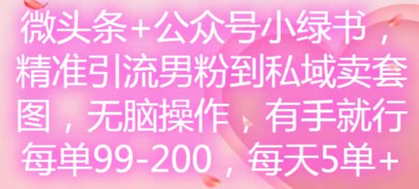 微头条+公众号小绿书，精准引流男粉到私域卖套图，无脑操作，有手就行，每单99-200，每天5单-优优云创