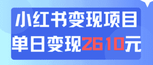 （11885期）利用小红书卖资料单日引流150人当日变现2610元小白可实操（教程+资料）-副业吧