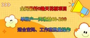 全网最新0撸天花板项目 单账户一天收益40-200 适合宝妈、工作室批量操作-优优云创