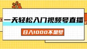 （11906期）一天入门视频号直播带货，日入1000不是梦-优优云创