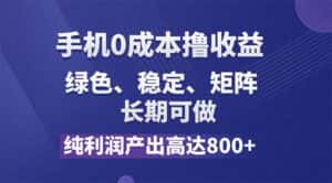 (11976期)纯利润高达800+,手机0成本撸羊毛,项目纯绿色,可稳定长期操作!-副业吧