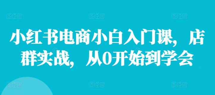 小红书电商小白入门课，店群实战，从0开始到学会-优优云创