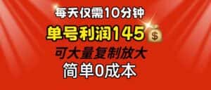 （12027期）每天仅需10分钟，单号利润145 可复制放大 简单0成本-副业吧