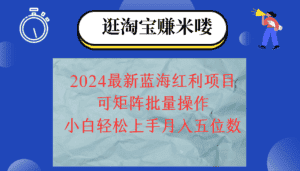 （12033期）2024淘宝蓝海红利项目，无脑搬运操作简单，小白轻松月入五位数，可矩阵…-副业吧