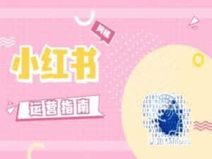 小红书运营指南,没有套路,全是经验-优优云创