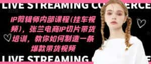 IP剪辑师内部课程(挂车视频)，张兰电商IP切片带货培训，教你如何制造一条爆款带货视频-副业吧