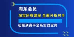 淘系会员初级到高手全系实战宝典【淘宝所有课程，全面分析对手】-副业吧
