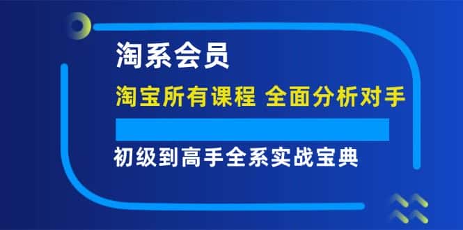 (12055期)淘系会员【淘宝所有课程,全面分析对手】,初级到高手全系实战宝典-副业吧