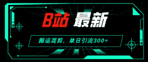 （12085期）B站最新，搬运混剪，单日引流300+创业粉-副业吧