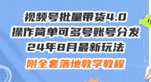 (12093期)24年8月最新玩法视频号批量带货4.0,操作简单可多号账号分发,附全套落…-副业吧
