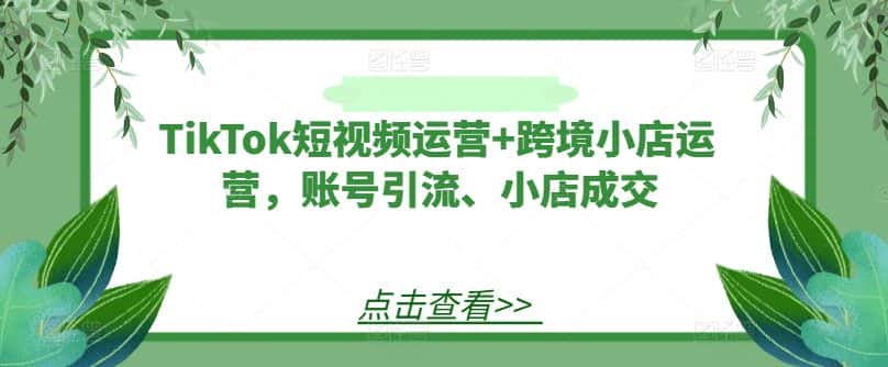 TikTok短视频运营+跨境小店运营，账号引流、小店成交-优优云创