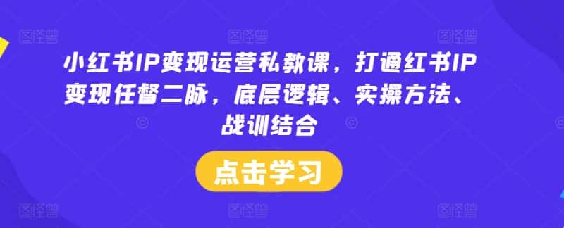 小红书IP变现运营私教课，打通红书IP变现任督二脉，底层逻辑、实操方法、战训结合-优优云创