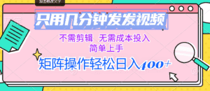 （12159期）只用几分钟发发视频，不需剪辑，无需成本投入，简单上手，矩阵操作轻松…-优优云创