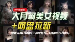 【新思路】大月匈美女视频+网盘拉新,靠搬运每日5000+,简单暴力,0基础小白可参与-副业吧