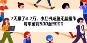 (12192期)7天收了2.7万,小红书咸鱼无脑操作,每单利润500至3000-副业吧