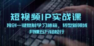 （12193期）短视频 IP实战课，独创一键复制学习秘籍，转战新领域，月赚五万轻松行-副业吧