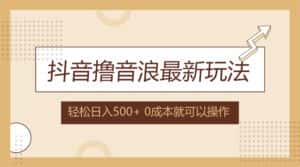 （12217期）抖音撸音浪最新玩法，不需要露脸，小白轻松上手，0成本就可操作，日入500+-优优云创
